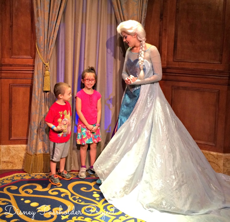Elsa - Disney Passholder Project